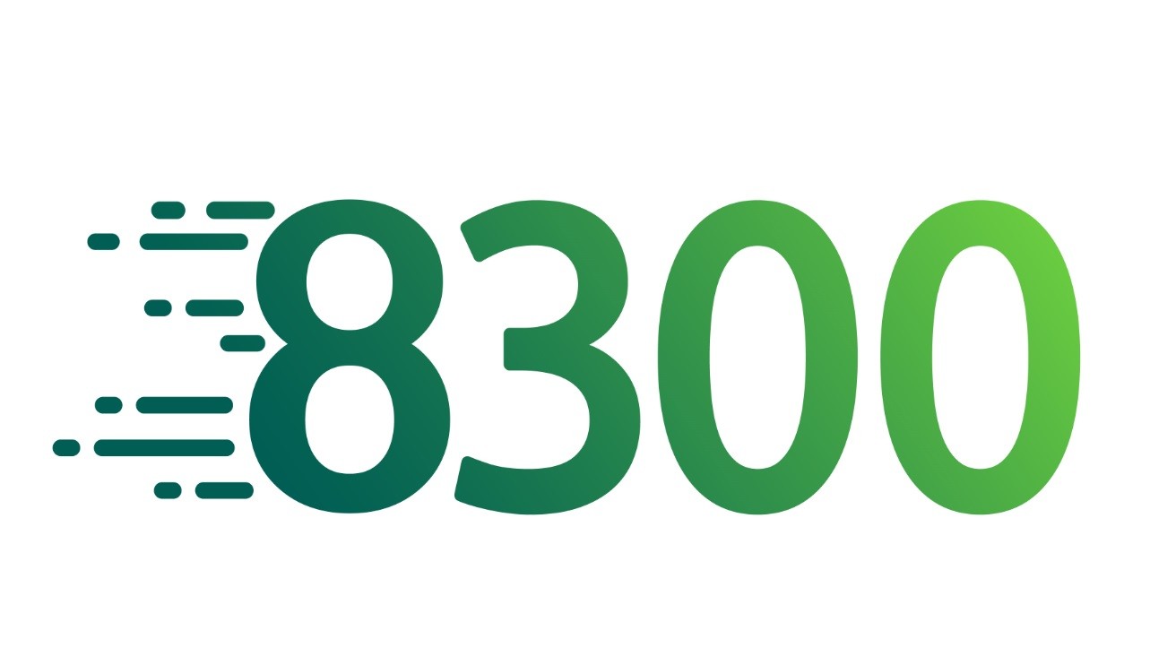 Partner logo
