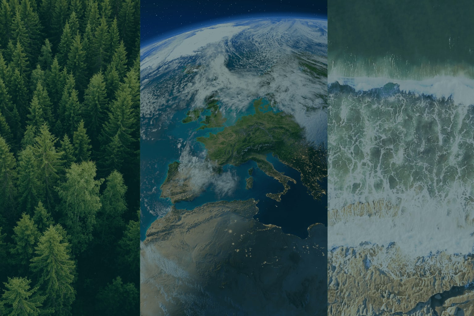 Climate Capital At COP: Using Tech and Digital Tools to Achieve Net-Zero logo