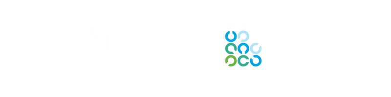 IT audit perspectives on today's top technology risks logo