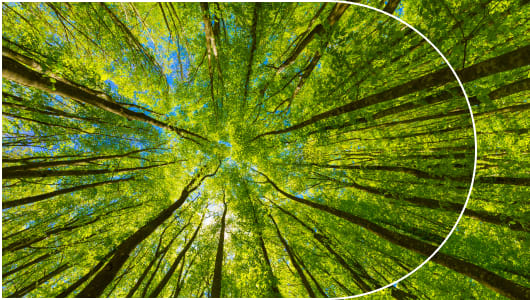 From Egypt to the World: Financing the Net-zero Transition  logo