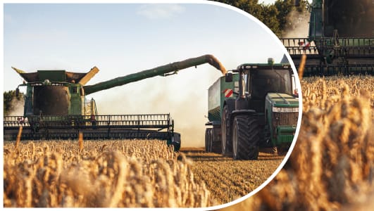 Commercialising Low Carbon Fertiliser  logo