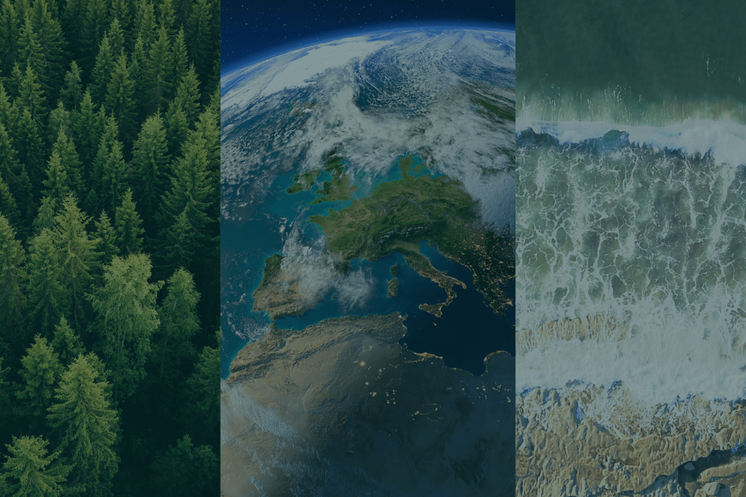 Climate Capital Live logo
