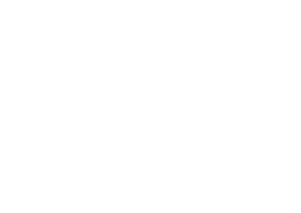 Aviation Day Ecuador logo