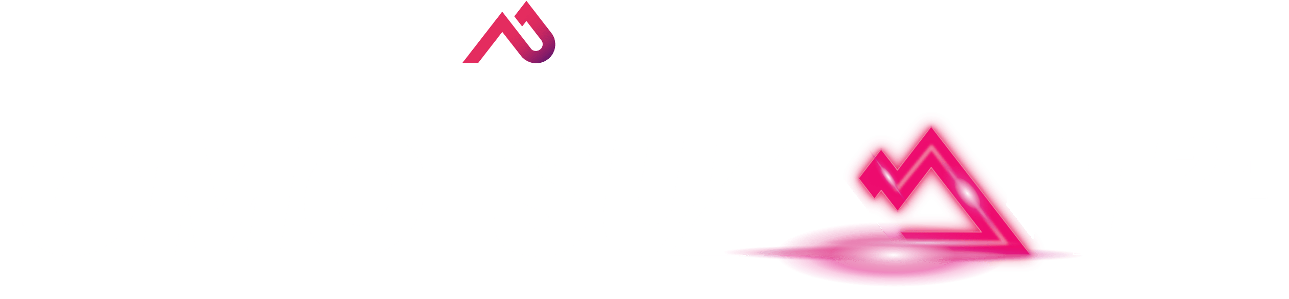 CMO Summit 2024 logo