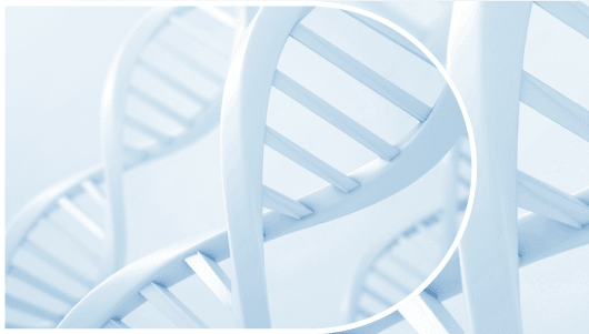 Can Reducing Inequality Lower the Risk of Pandemics? logo