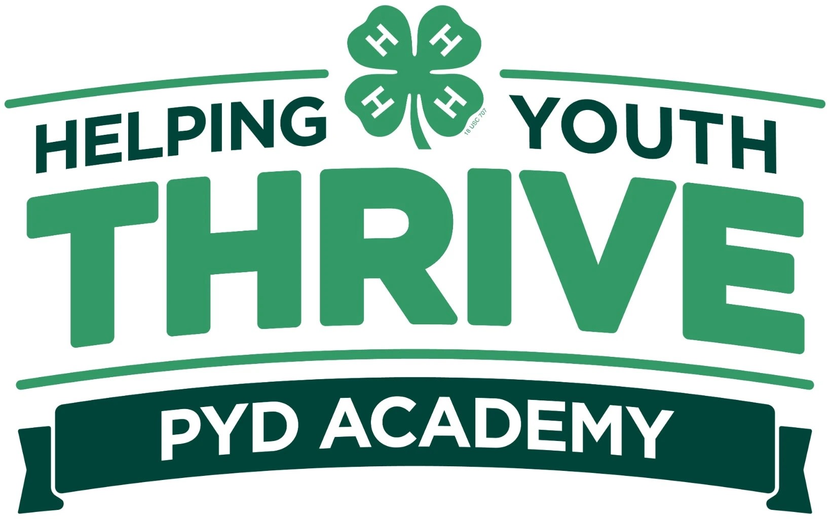 Foundations of Positive Youth Development for Early Career 4-H Professionals  Academy logo