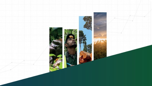 Rainforest Capital Summit 2023 logo