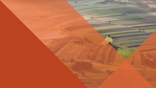 Growing for Good: Accelerating Europe's Sustainable Food Transition logo