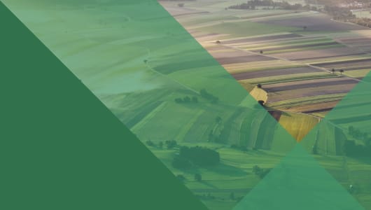 Growing for Good: Accelerating Europe's Sustainable Food Transition logo