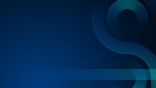 Capitalising on India’s Growth Story logo