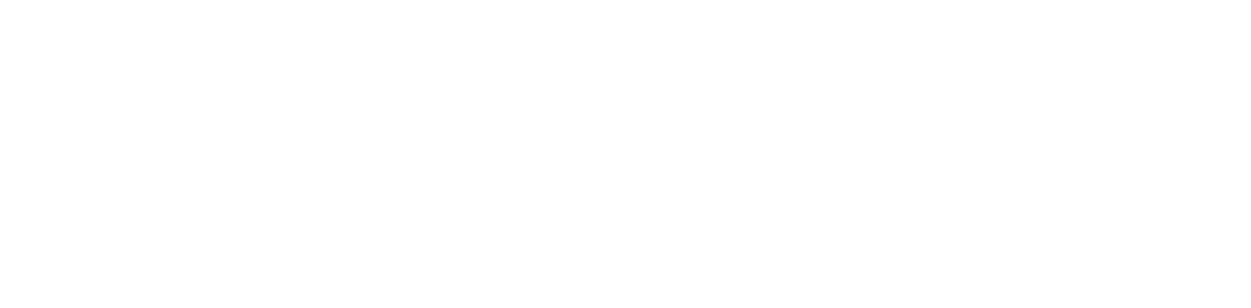 CNBC CEO Council Summit 2024 logo