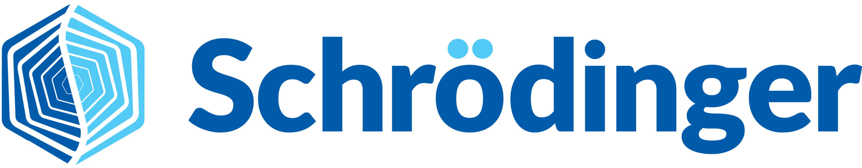 Schrödinger Materials Polymer Workshop logo
