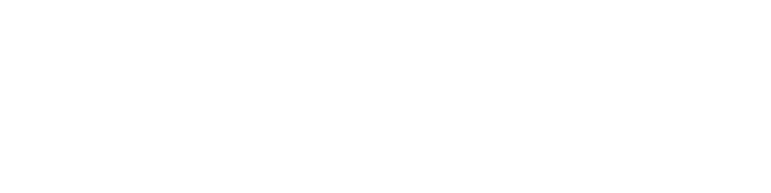 China Conference  2024 logo