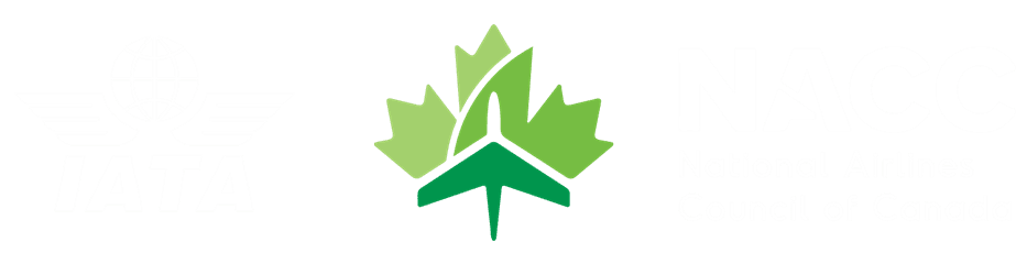 Aviation Day Canada logo