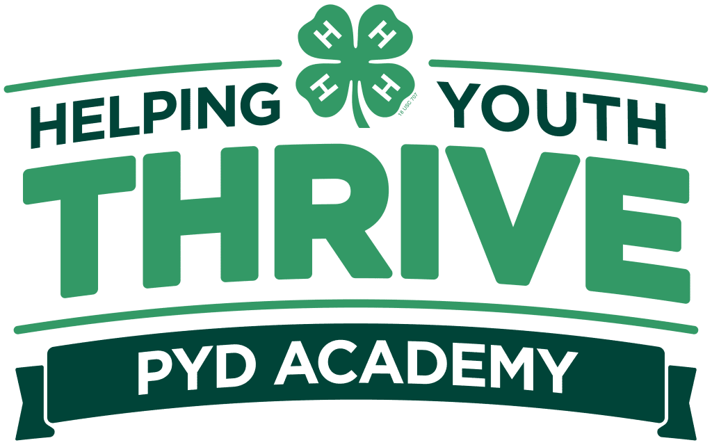 Program Planning and Evaluation for PYD Impact logo