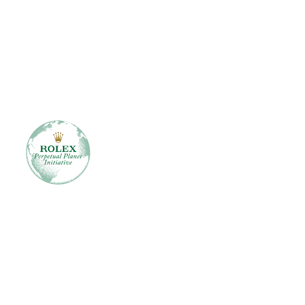 Rolex: Perpetual Planet Initiative logo