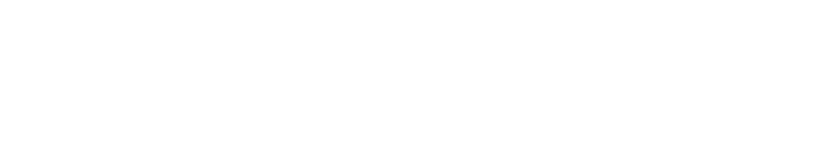 Leica Geosystems Infra Demodag logo