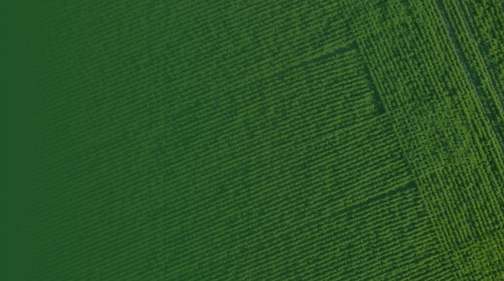 Using Agricultural Innovation To Protect Biodiversity logo