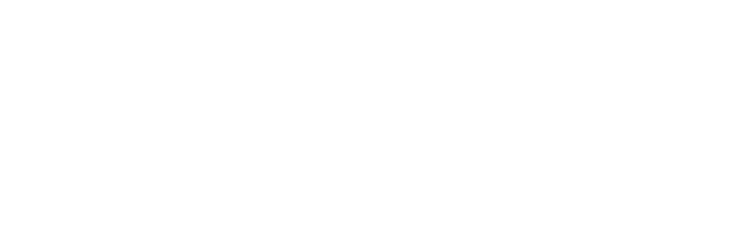 The SUMMIT Series: Shaping the future of fraud in real-time payments logo