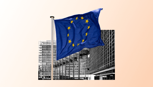 Tackling Europe's Red Tape Challenge logo