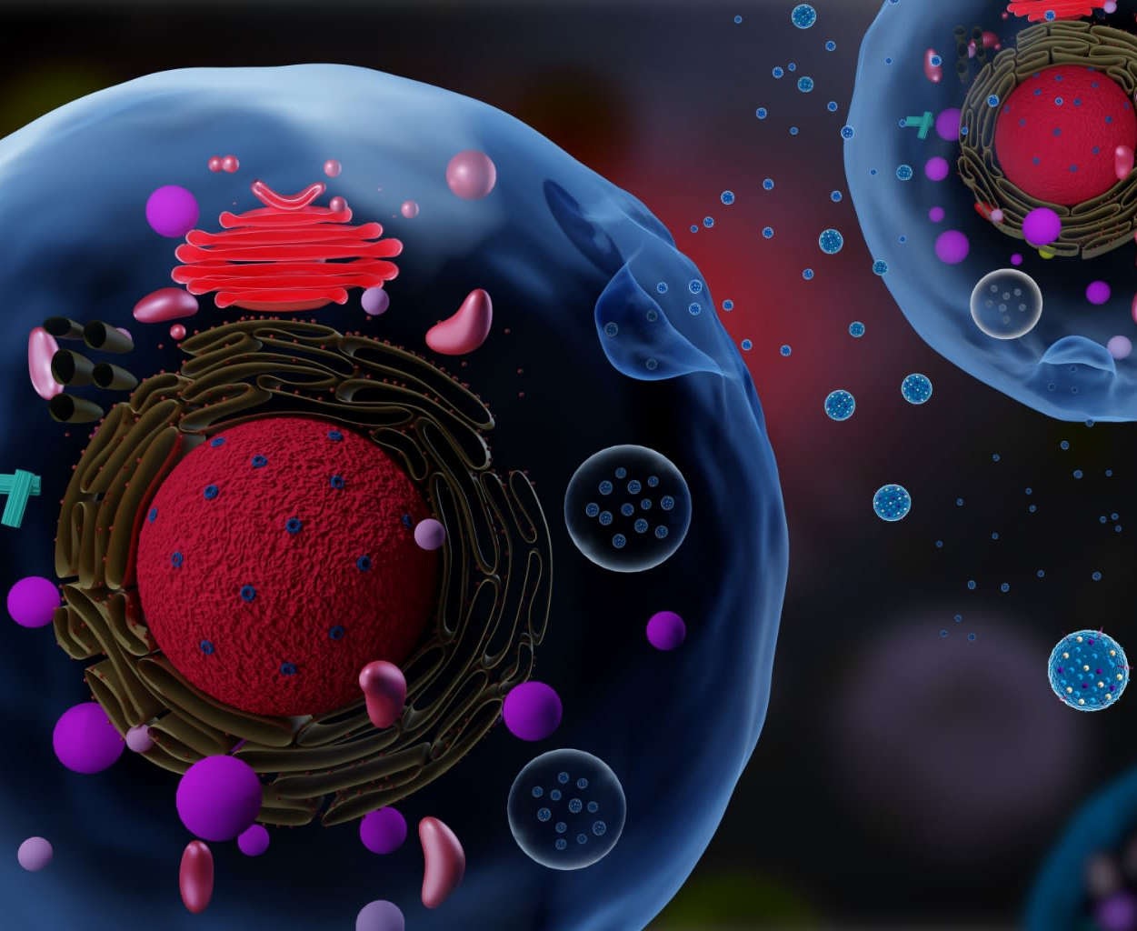 Characterization tools for extracellular vesicles and nanoparticles