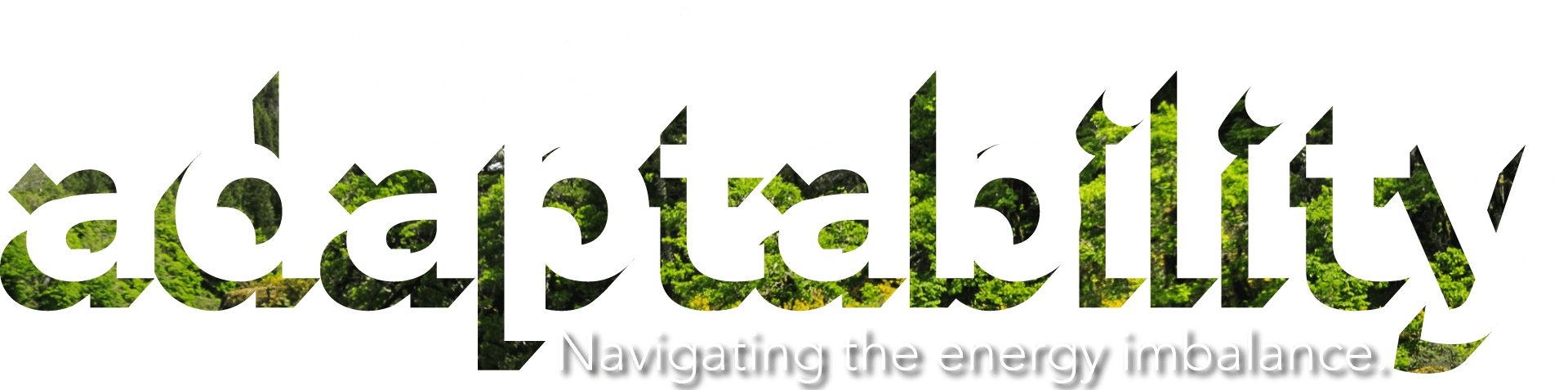 2025 CLEAResult Energy Forum logo