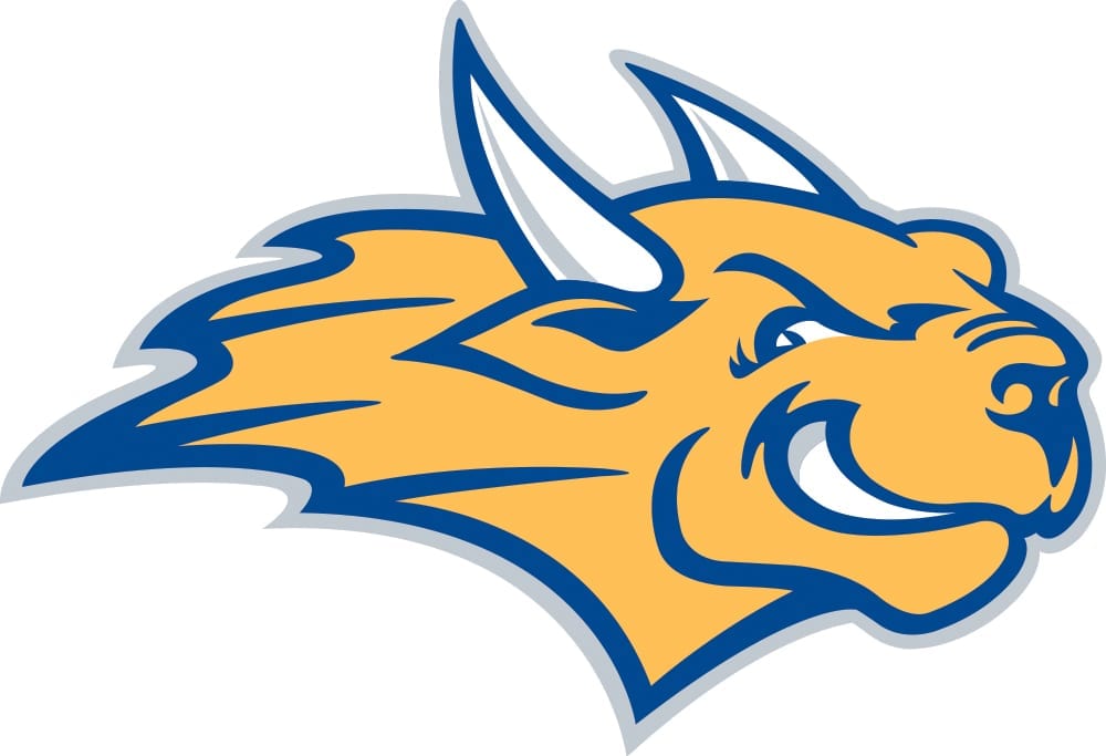 Webster Men's Soccer Team Trivia Night Fundraiser logo