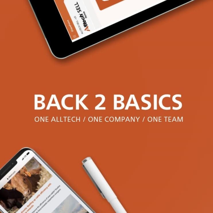 Back 2 Basics - October