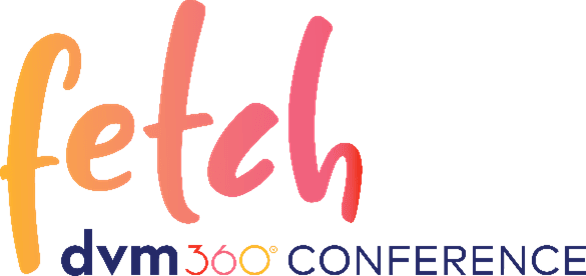 Fetch Charlotte 2026 logo