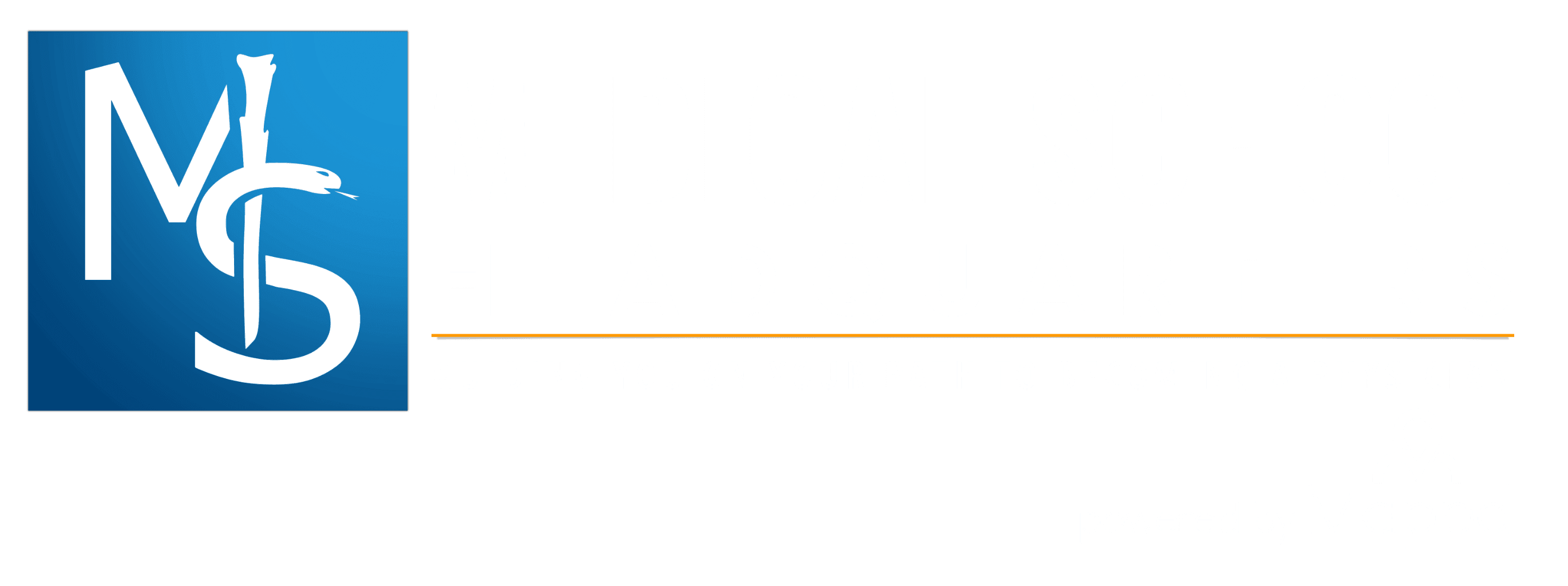 MCAT Summer Bootcamp: How to Study Smart When School’s Out logo