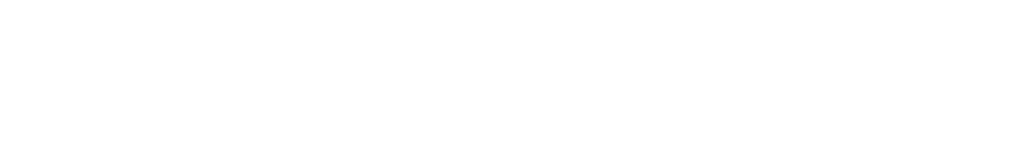 China Conference 2025 logo