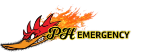 Partner logo