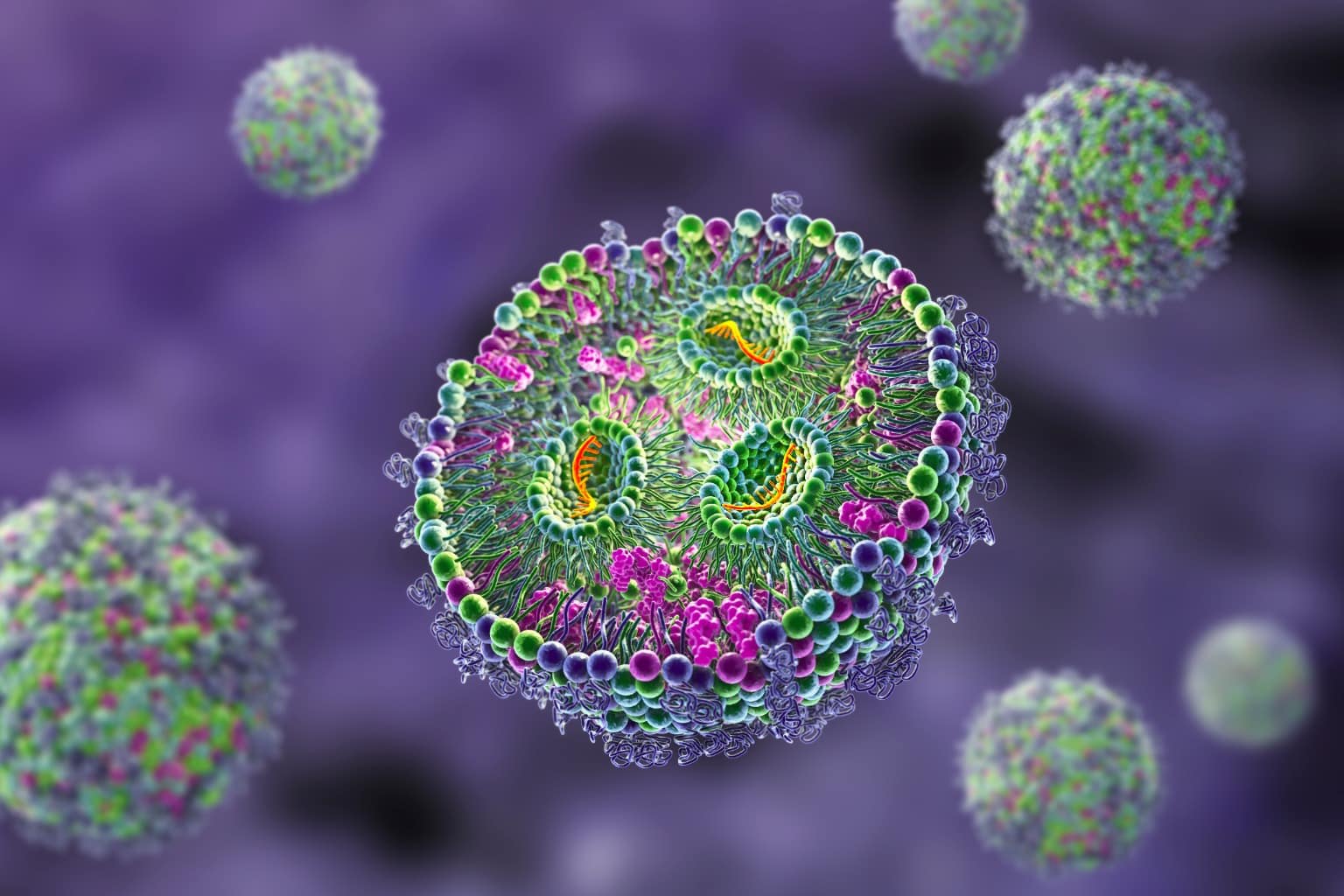 Four tools for characterizing lipid nanoparticles