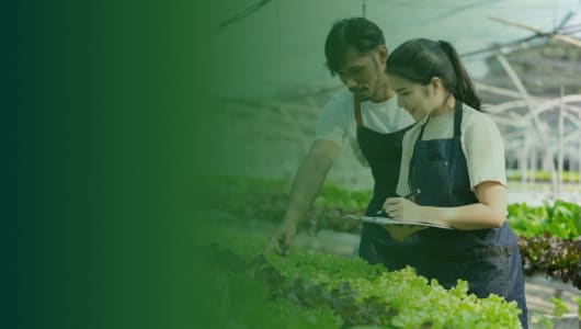 Global Food Security in a Changing Climate logo