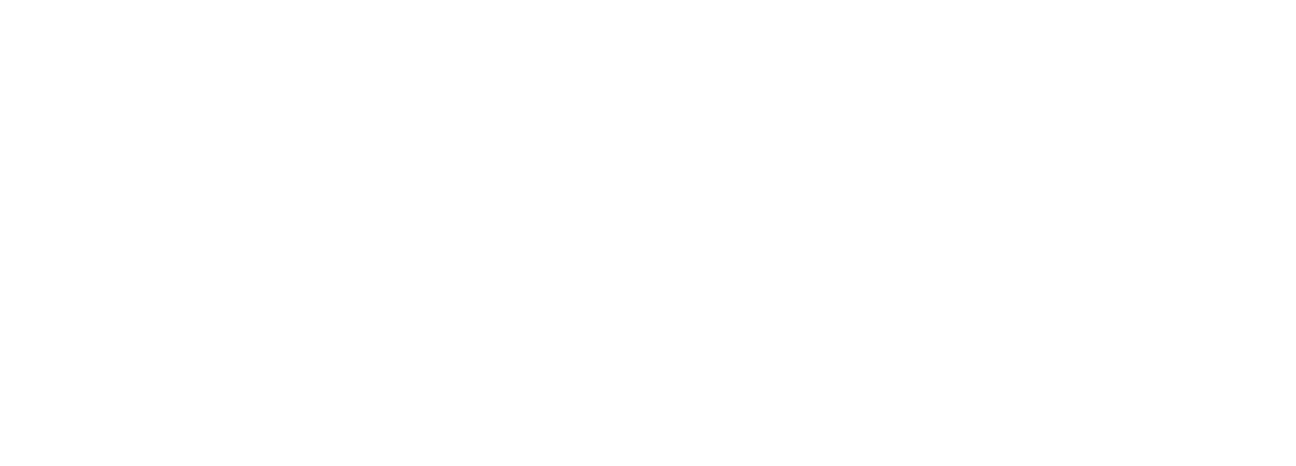 A Practical Path to EU AI Act Compliance logo
