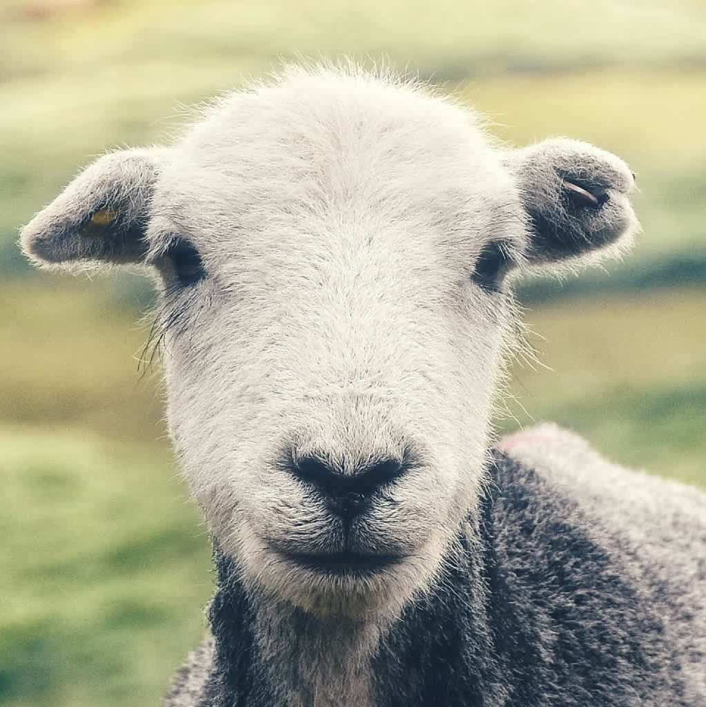 Idaho Conference Prayer Retreat logo