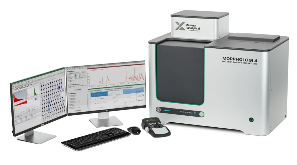 Morphologi range