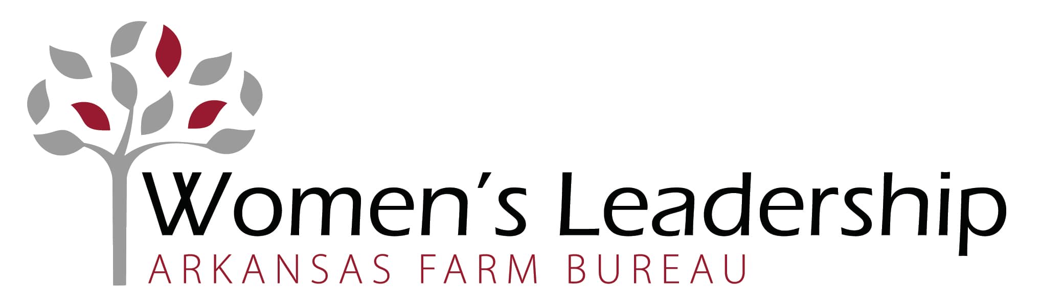 2026 Women's Leadership Conference logo