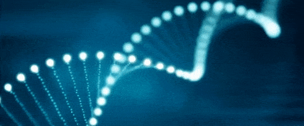 Capital, Competition and the Patent Cliff logo