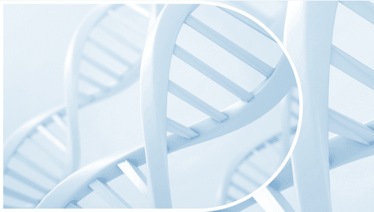 Rare diseases: How do we build global policy momentum? logo