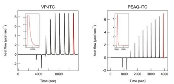 액체 제형 개발 공정