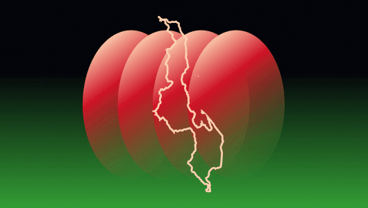 Malawi Investment Summit  logo