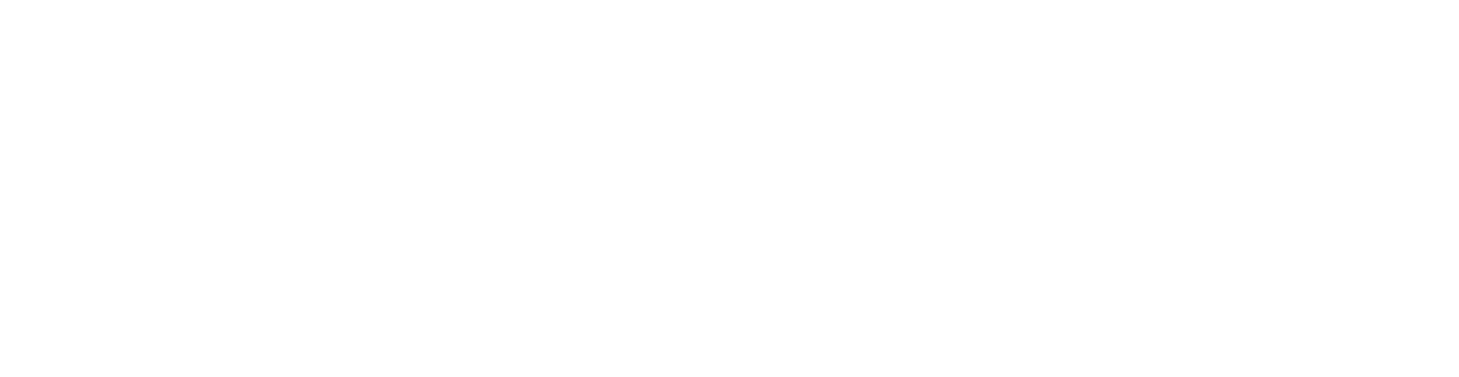 Access Payroll in Action logo