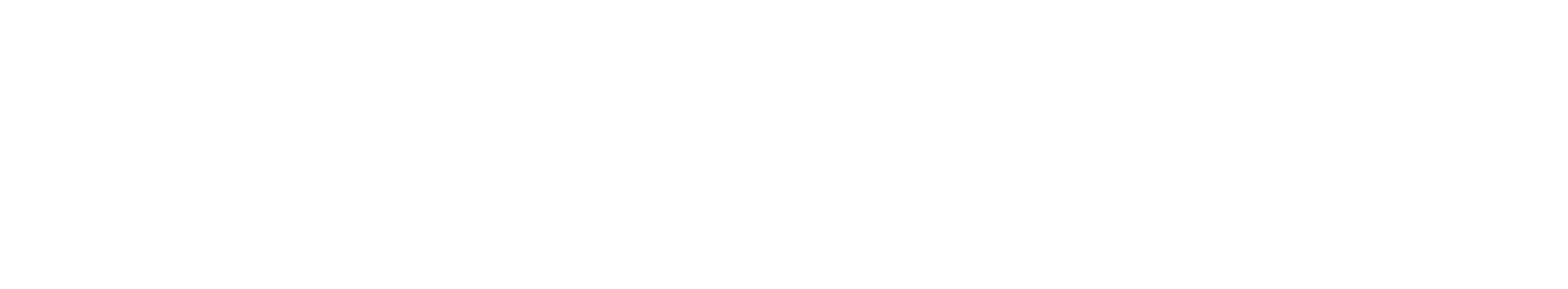 2027: A Year in Preview logo