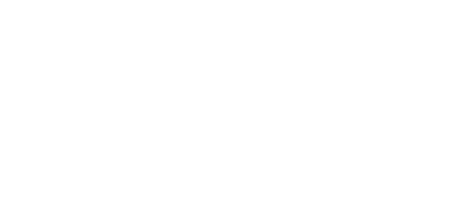 2019 BSIMM Community Conference logo