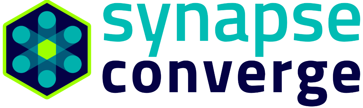 SYNAPSE'S FIRST DIGITAL INTERACTIVE CONFERENCE logo