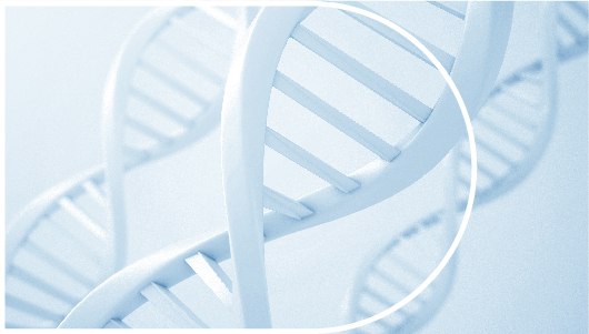 Fast Forwarding the Future of Clinical Trials logo