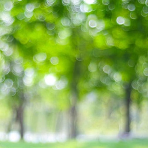 Continuing Education Units