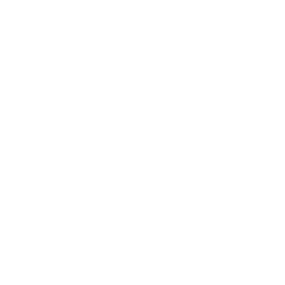 Aggregate Science in Organic Electroluminescence and Charge Transport logo