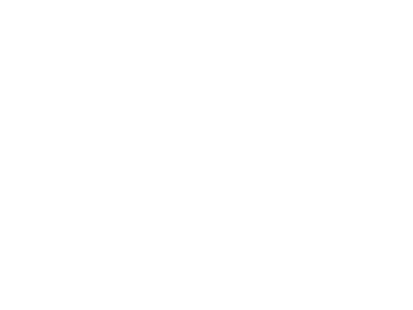 IATA Aviation Day Peru logo